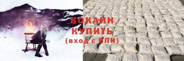 гидра Володарск