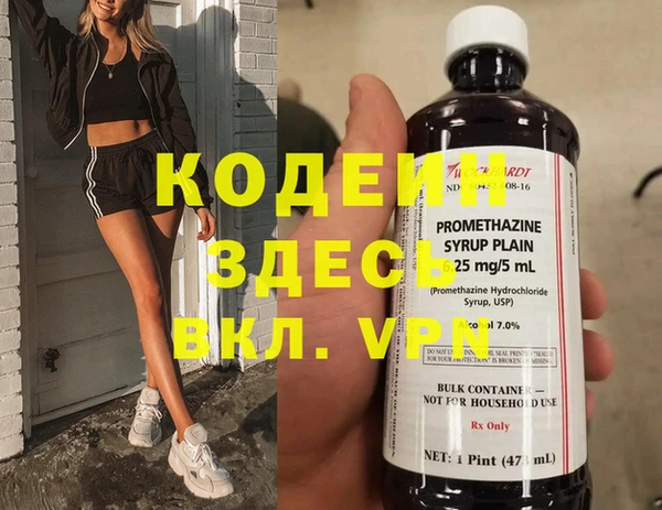 гидра Володарск