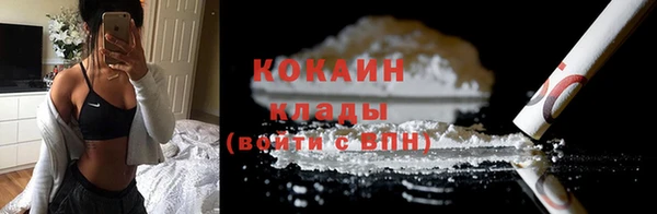 гидра Володарск