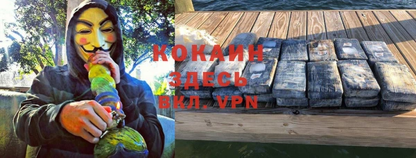 гидра Володарск