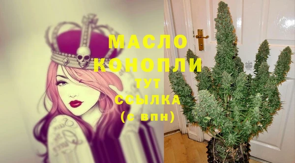 гидра Володарск