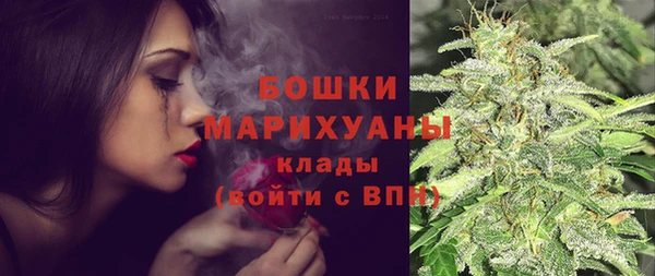 гидра Володарск
