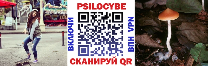 Псилоцибиновые грибы Psilocybine cubensis  Купить закладки  Ясный 