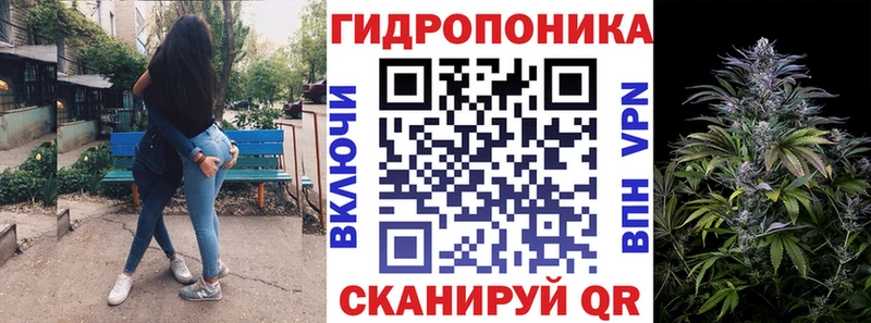 Бошки Шишки OG Kush  Купить где  Ясный 
